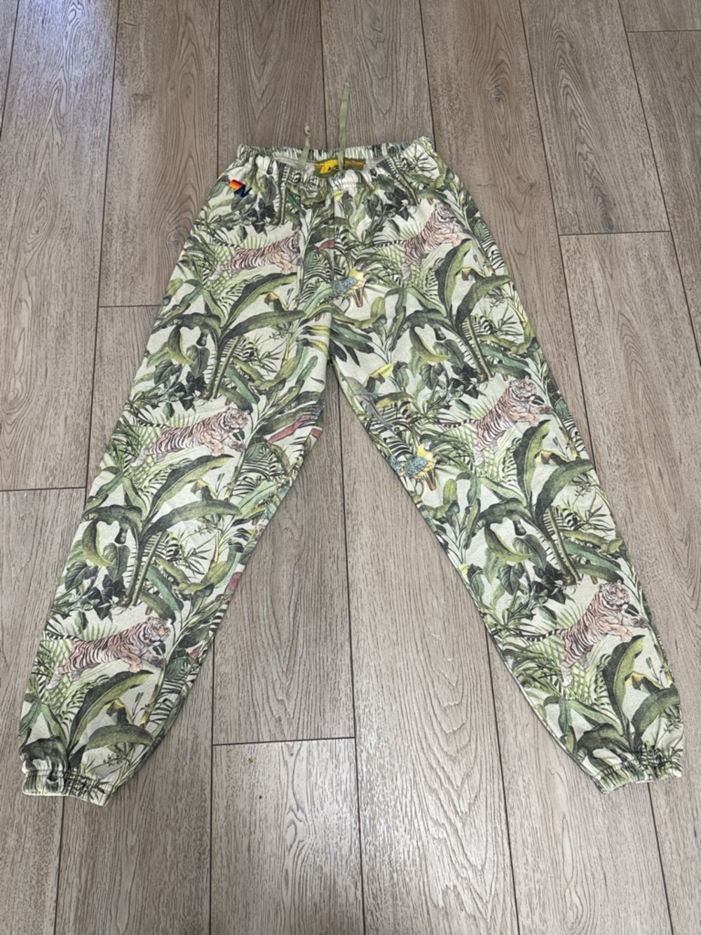 Aviator Nation Jungle sweatpants in sand